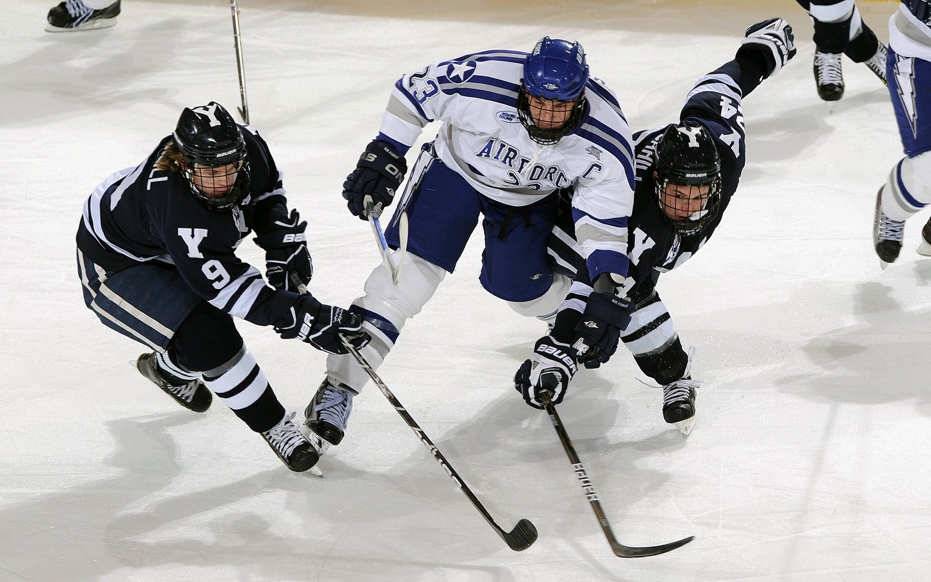 武切维奇关键制胜，奇才节奏掌控森林狼