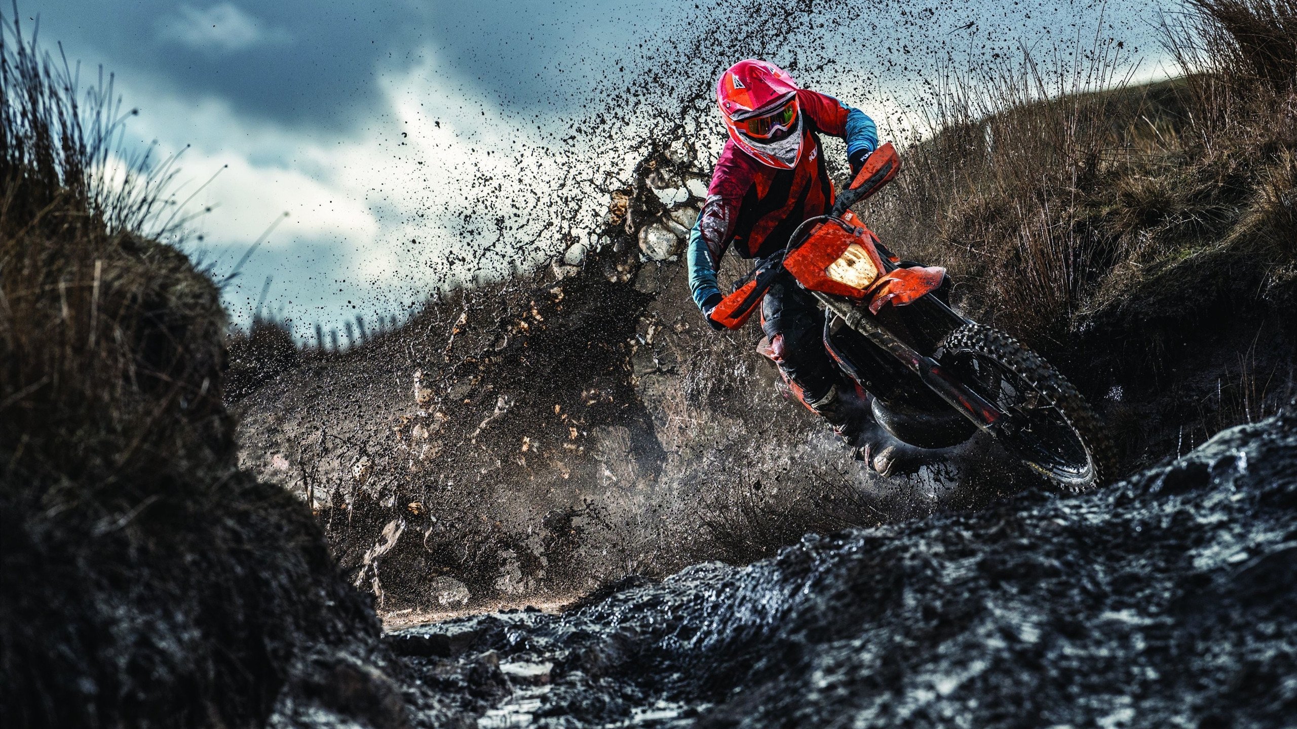 红牛二队绝杀威廉姆斯，汉密尔顿关键制胜—一场改写格局的经典战役